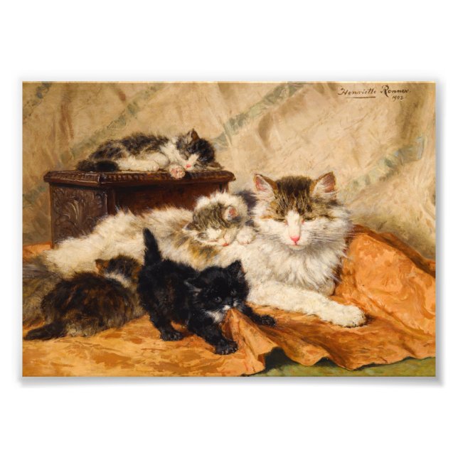 Mor och Hennes kittens Fototryck (Framsidan)