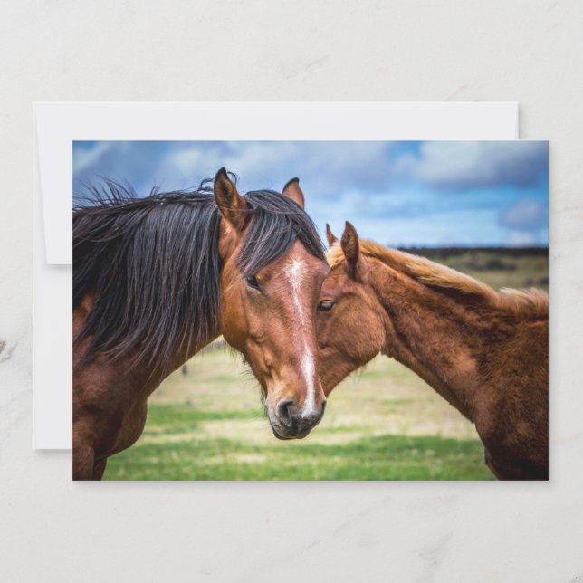 Mor och son (Framsida)