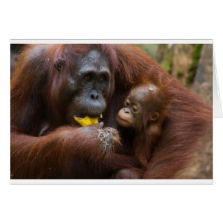 Mor och son hälsningskort