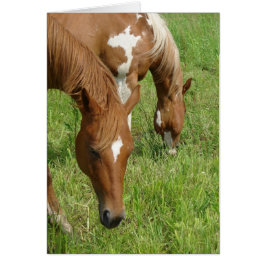 Mor och son, hästbete hälsningskort