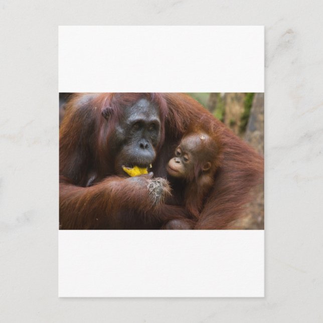 Mor och son vykort (Framsida)