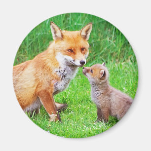 Mor räv och unge magnet