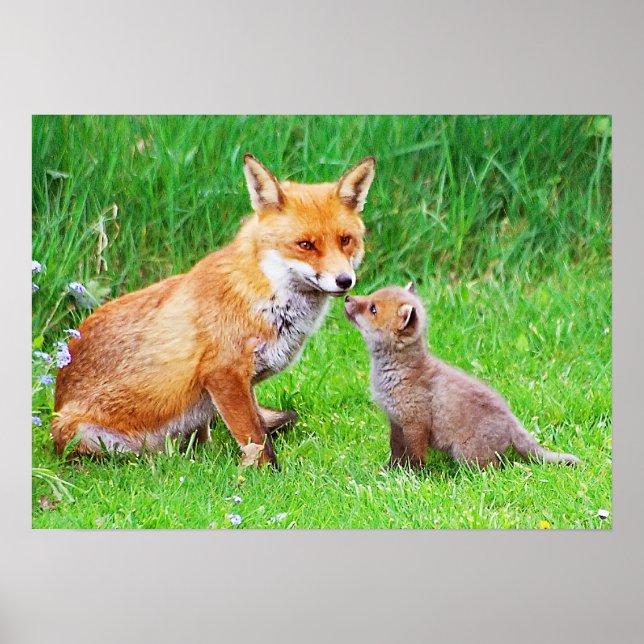 Mor räv och unge poster (Framsidan)