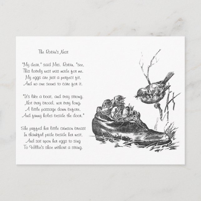 Mor Robin och hennes Spädbarn i en Shoe Vykort (Framsida)