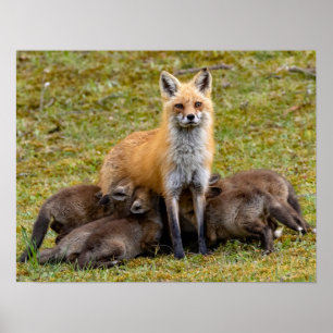 Mor ska vara som poster