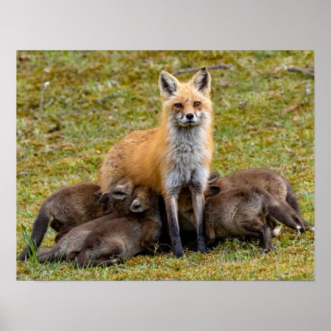 Mor ska vara som poster (Framsidan)