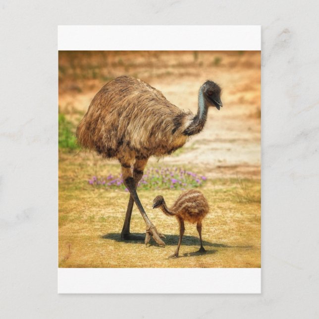 Mor som håller öga vid hennes baby vykort (Framsida)