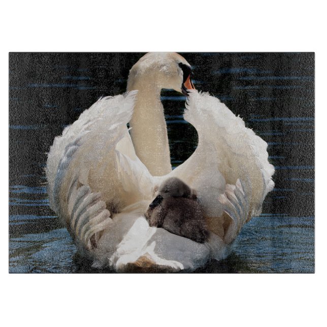 Mor Svan med Cygnet (baby svanar) (Framsidan)