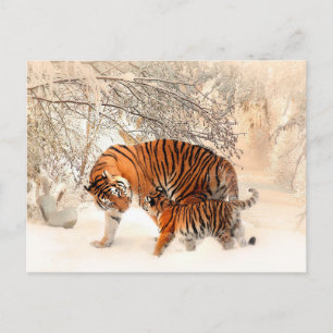 Mor Tiger och Unge i Snowy Skogen Vykort