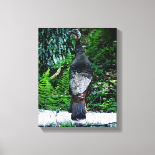 Mor Turkiet har förstört Canvas (Framsida)