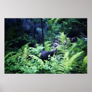 Mor Turkiet i Ferns Poster
