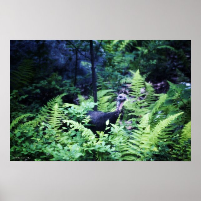 Mor Turkiet i Ferns Poster (Framsidan)