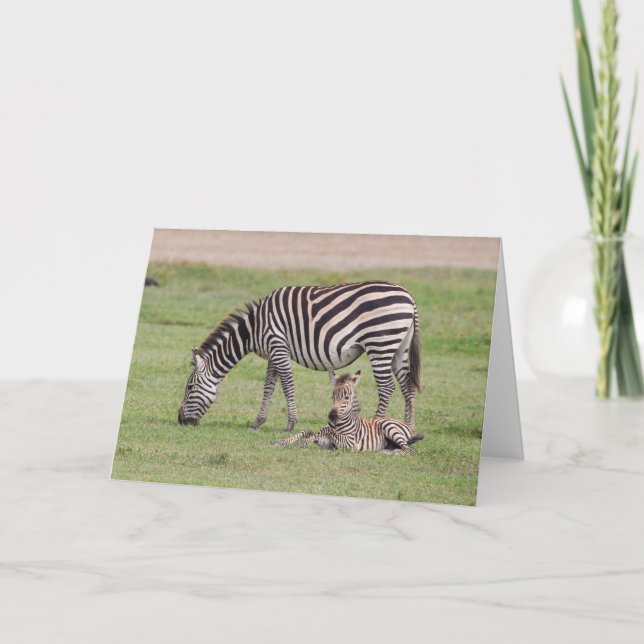 Mor Zebra med nyfödd kolt Kort (Framsida)