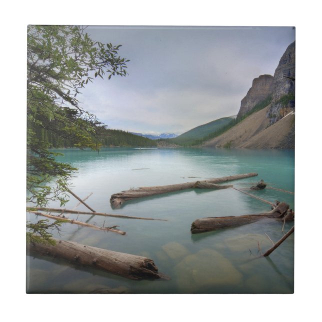 Moraine Sjö Kanada Kakelplatta (Framsidan)