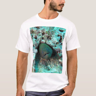Morayål i Fiji T Shirt