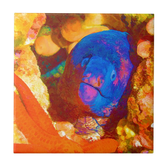 Morayål Kakelplatta (Framsidan)