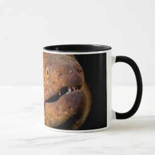 Morayål Mugg