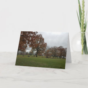 Morbid Card för lycklig-årsdagen Kort