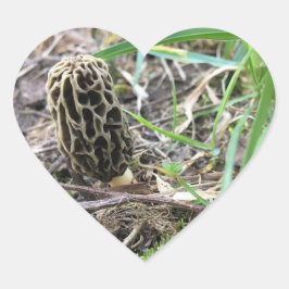 Morchella esculenta, Black Morel, Morel Mushroom Hjärtformat Klistermärke