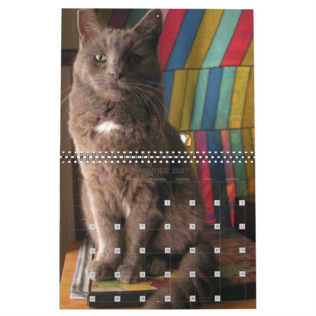 Mordi, Basil & Friends Kattkalender 2025 Kalender (Dec 2027)