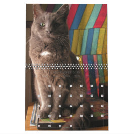 Mordi, Basil & Friends Kattkalender 2025 Kalender