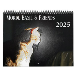 Mordi, Basil & Friends Kattkalender 2025 Kalender