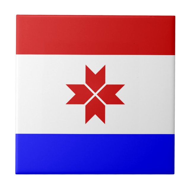 Mordovias flagga kakelplatta (Framsidan)