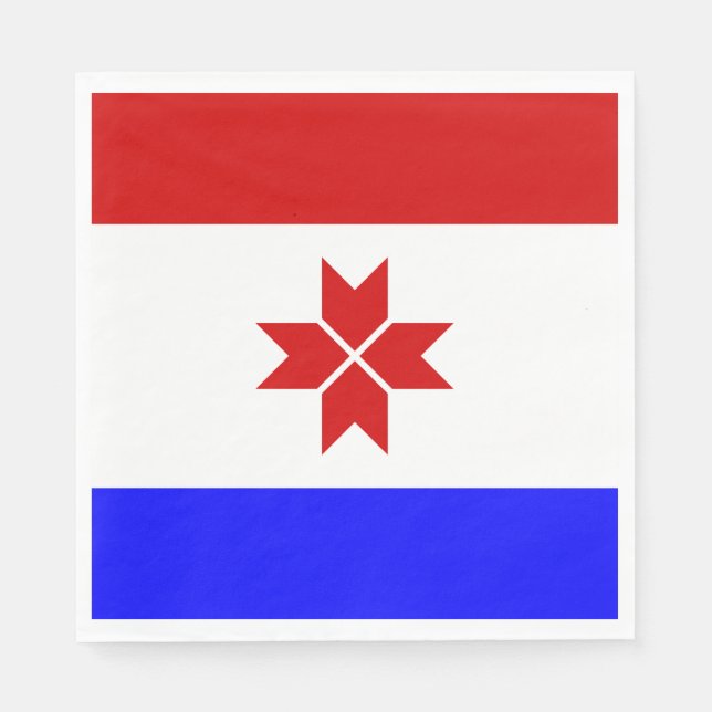 Mordovias flagga pappersservett (Framsidan)