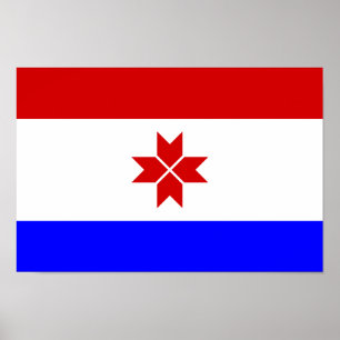 Mordovias flagga poster