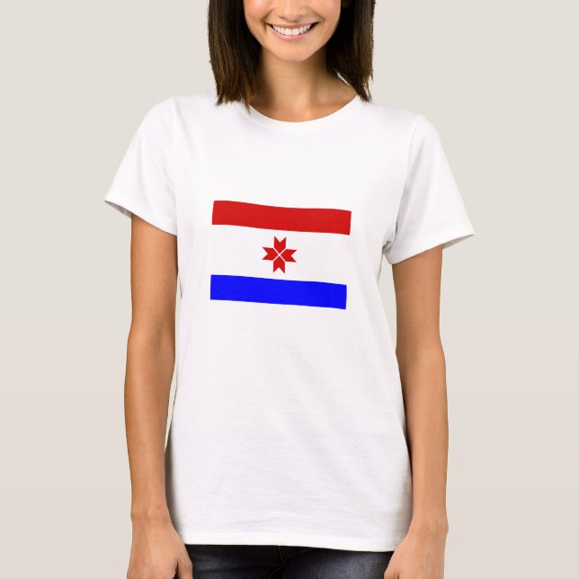 Mordovias flagga t shirt (Framsida)