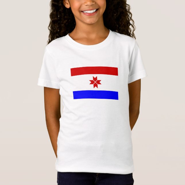 Mordovias flagga t shirt (Framsida)