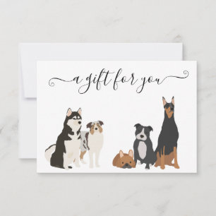 Mordscertifikat Hund Grooming Digital Vet Boarding Inbjudningar