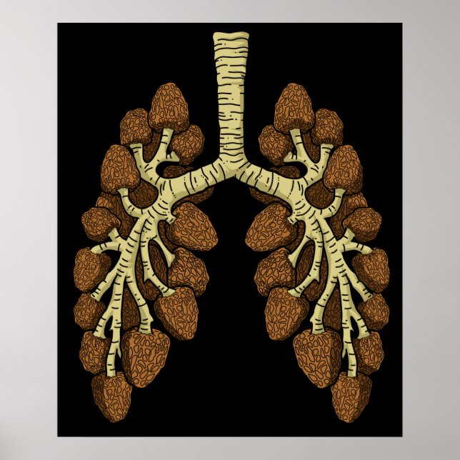 Morel Mushroom Gift Manar Morel Mushroom Hunter Poster (Framsidan)