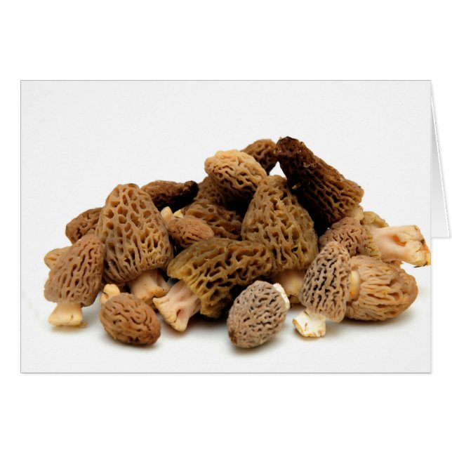 Morel Mushroom Hälsningskort (Framsidan Horizontal)