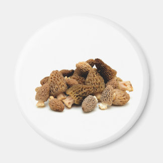 Morel Mushroom Magnet