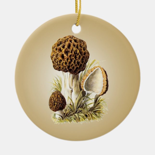 Morel Mushroom Ornament (Framsidan)