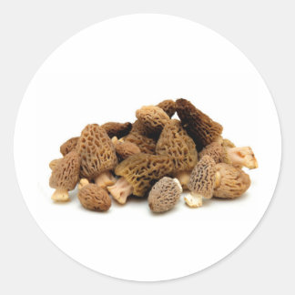 Morel Mushroom Runt Klistermärke