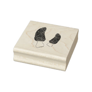 Morel Mushroom Teckning Stämpel