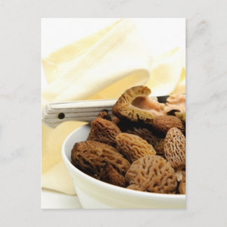 Morel Mushroom Vykort
