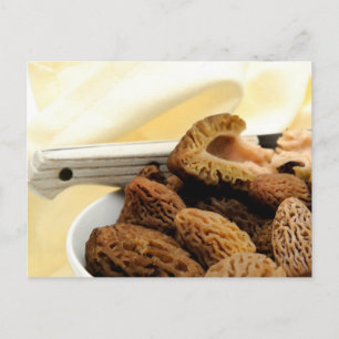 Morel Mushroom Vykort