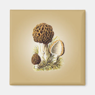Morelchampinjonmagnet Magnet
