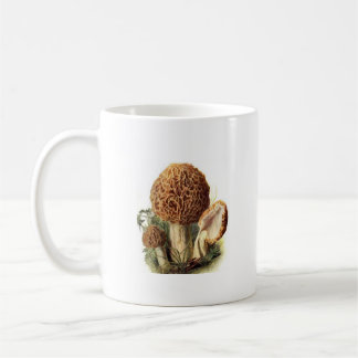 Morels är den svamp kaffemuggen kaffemugg