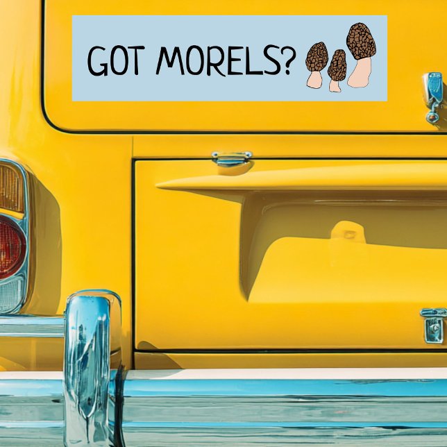 Morels Mushroom Roligt Fungi CUSTOMIZE IT Bildekal (GOT Morels Funny Pun Mushrooms Fun Fungi CUSTOMIZE IT Bumper Sticker
)