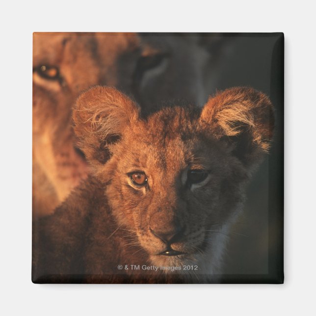 Moremi Wildlife Reserve, Botswana 2 Magnet (Framsidan)