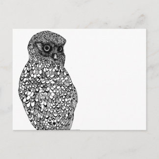 Morepork Postcard Vykort