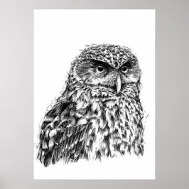 Morepork Poster