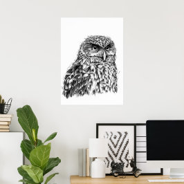 Morepork Poster