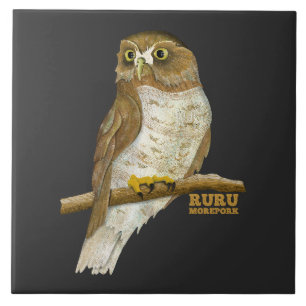 Morepork Ruru New Zeland Bird Kakelplatta