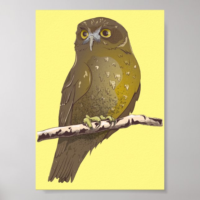 Morepork RURU NZ bird Poster (Framsidan)