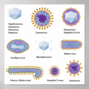 Morfologi för vanliga virus Poster